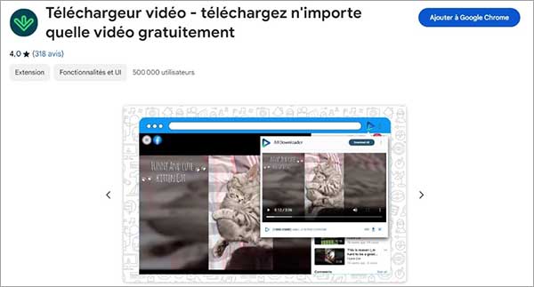 L'extension Téléchargeur Vidéo