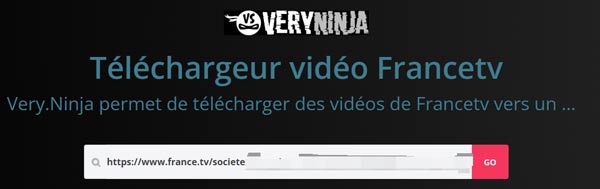 Télécharger une vidéo France.tv avec un telechargerur en ligne