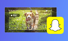Des façons d'enregistrer une vidéo Snapchat